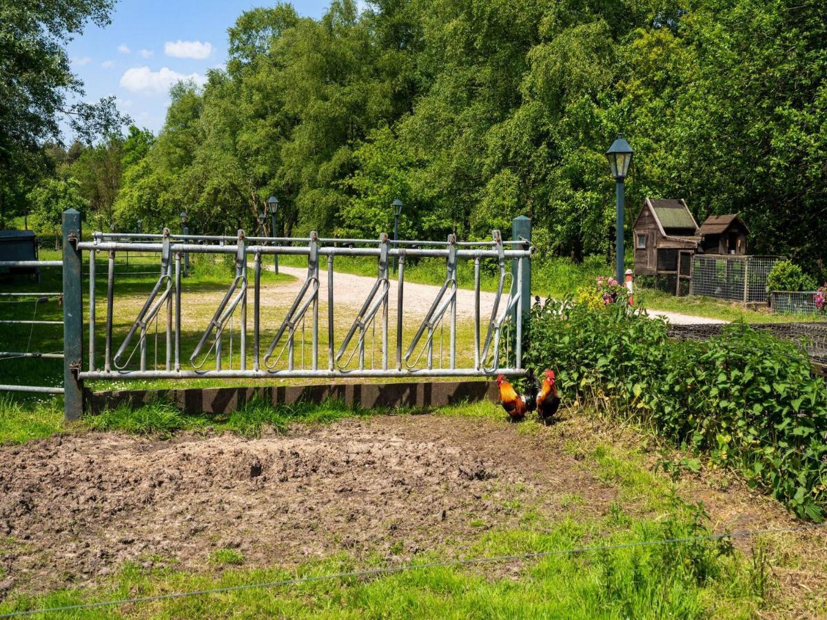 A Lovely Cottage On The Dwingelderveld Nature Park Beilen Exterior foto